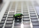 MITкڿƼ κγ޸BUG